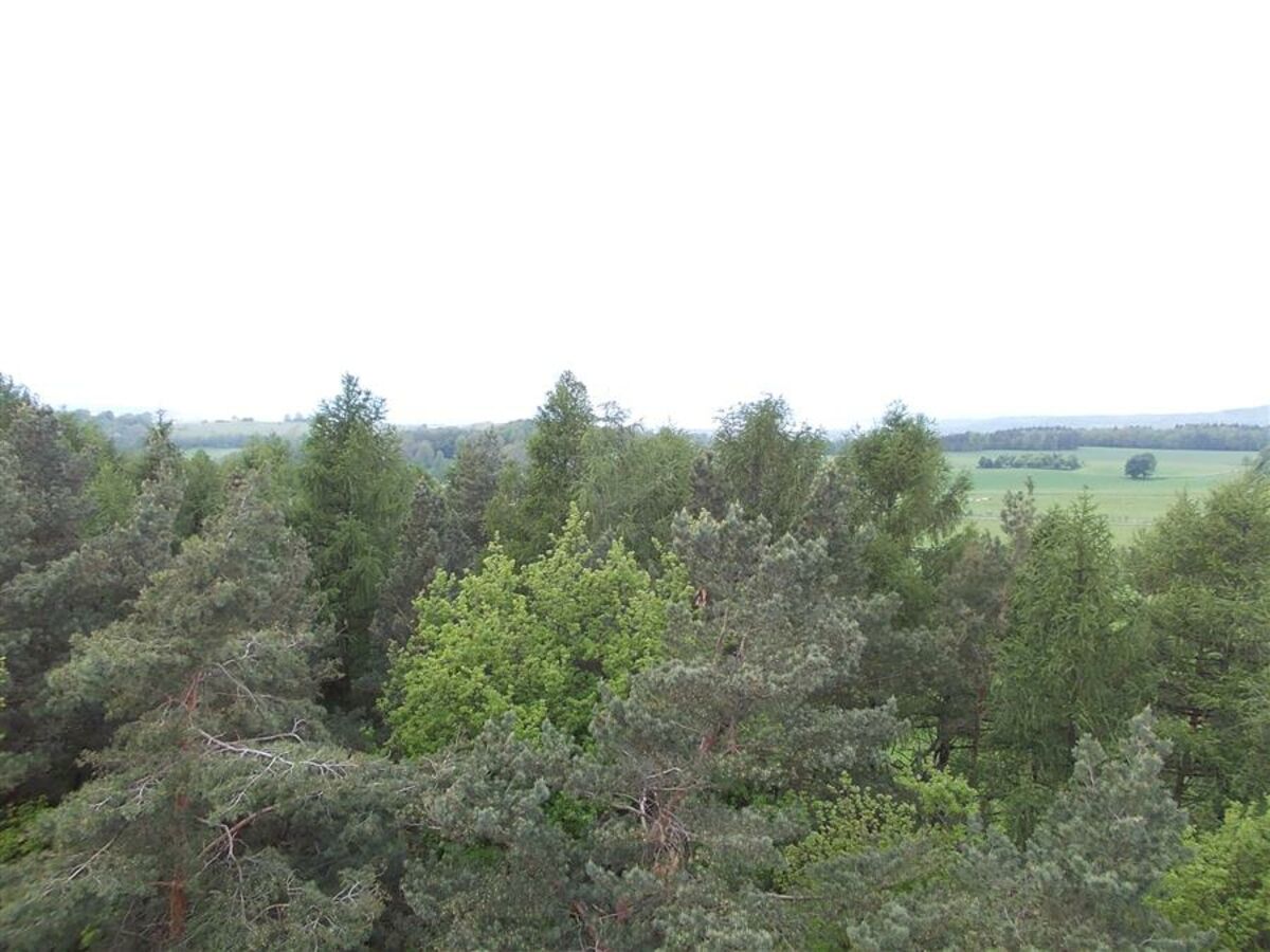 Rozhledna _Heřmanice16.JPG